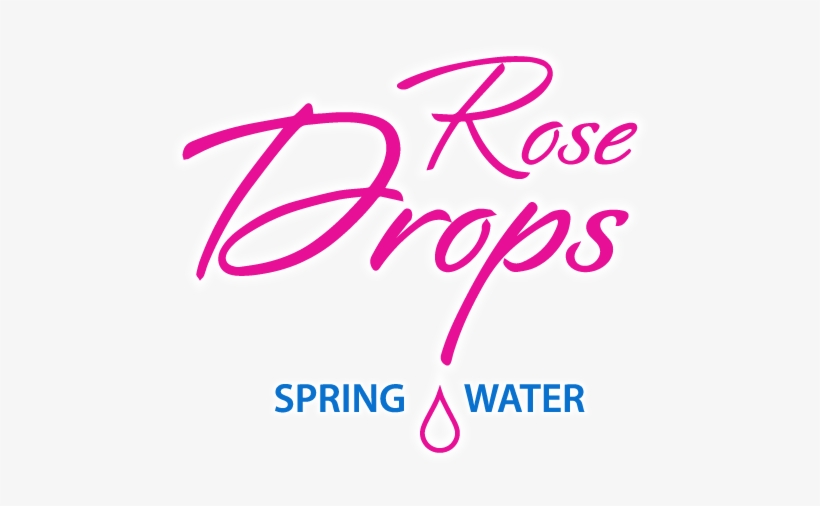 Rose Drops Water, transparent png