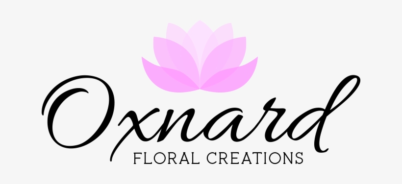 Port Hueneme, Ca Florist - Don T Ever Let Anyone Take Away Your Sparkle, transparent png