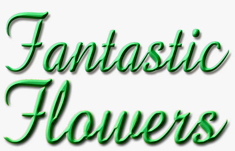 Calligraphy, transparent png