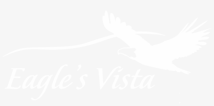 Eagle's Vista - Vintage Spirographs: Classic Coloring Books [book], transparent png