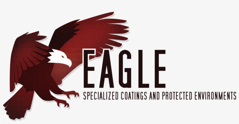 Bald Eagle, transparent png