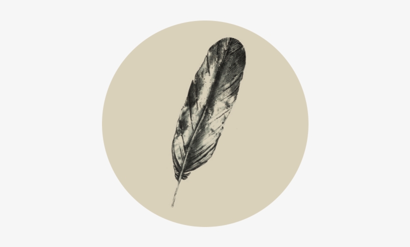 Neustadt Feather - Feather, transparent png