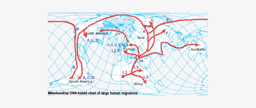 Eventual Dispersion-migration Routes - Graphic Design, transparent png