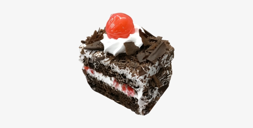 Black Forest - Ninety Degrees At Paradise Ridge Apartments, transparent png