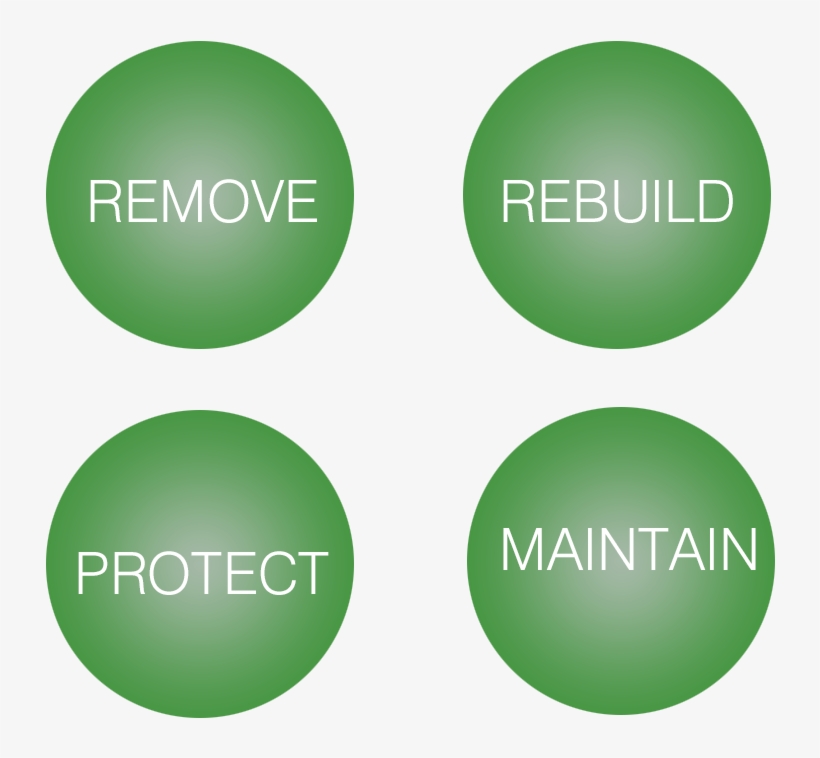 Dmk Muscle Banding Treatments Incorporate Three Enzyme - Icon, transparent png