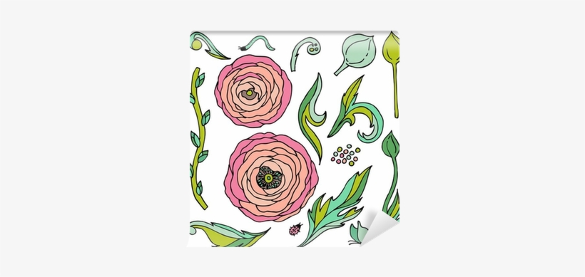 Ranunculus-rose Flowers Vector Set Wall Mural • Pixers® - Vector Graphics, transparent png