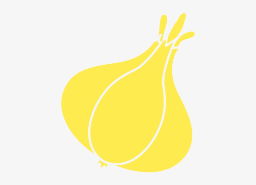 Garlic - Illustration, transparent png