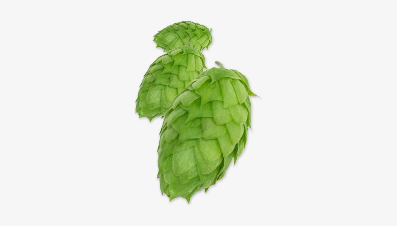 Mosaic® Pellet Hops - Common Hop, transparent png