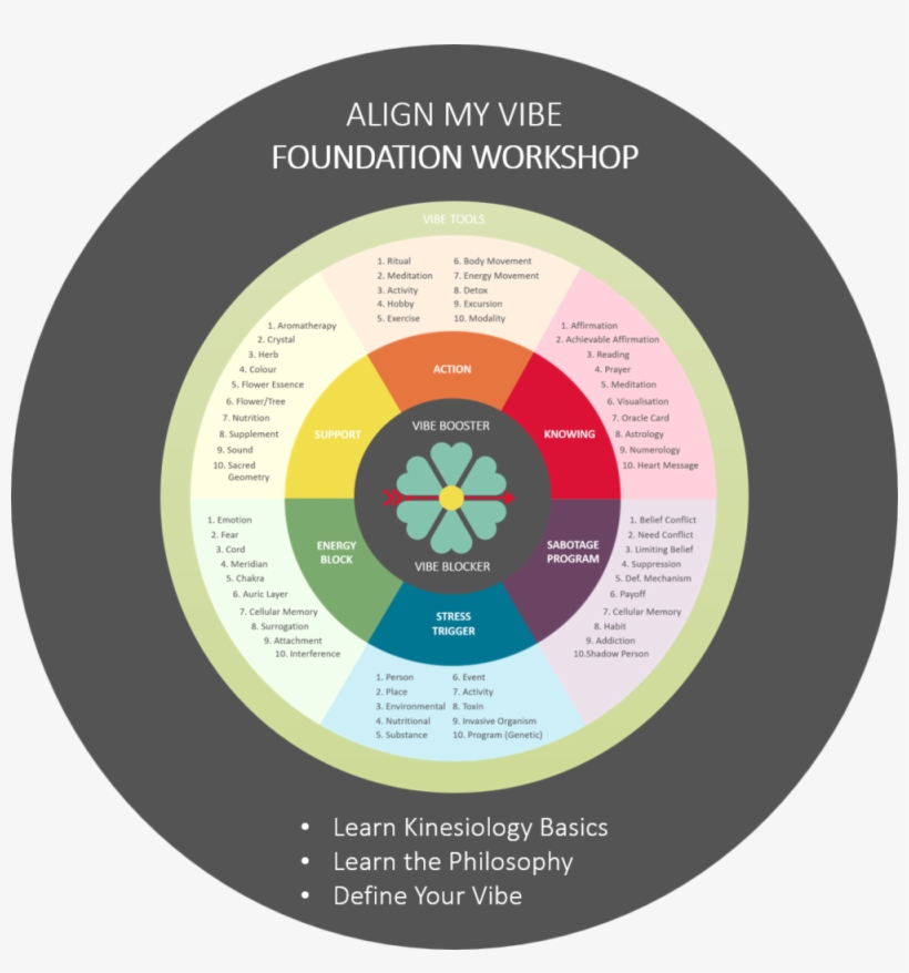 Amv Foundation Target - Circle, transparent png