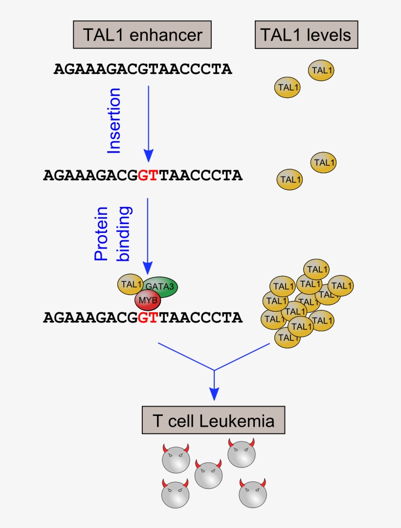 160321 Mute Summary - Promoter Sequence, transparent png
