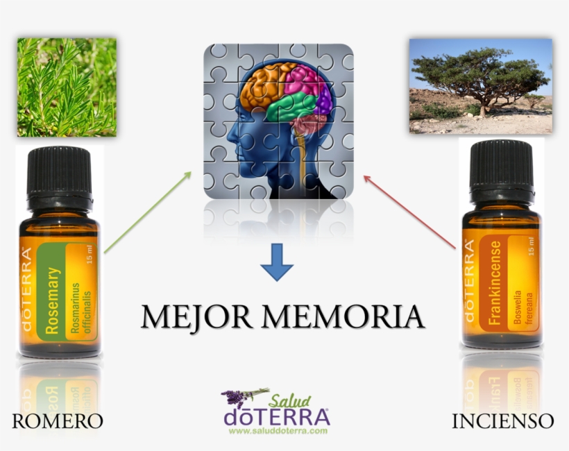 ¿tienes Falta De Memoria - Ohm Collection Deo Dorant Powder - Sacred Frankincense, transparent png