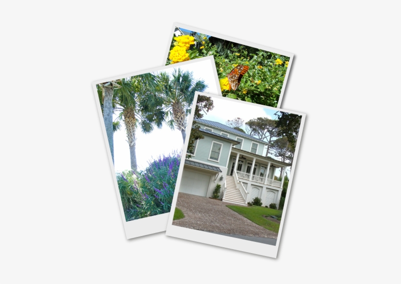 About Us - Lawn, transparent png