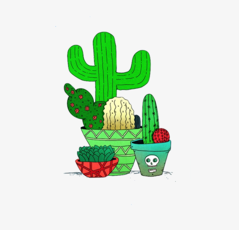 Find This Pin And More On Png By Agustinaarana23 - Overlays Transparent Tumblr Cactus, transparent png