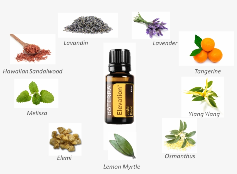The Most Common Way That I Use This Oil Is In A Diffuser - Doterra Essential Oils - Lavender 15ml, transparent png