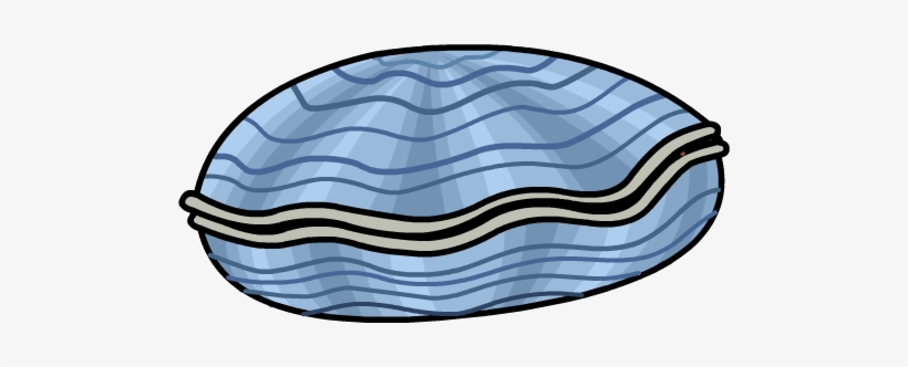 Clam - Png - Clam Png, transparent png