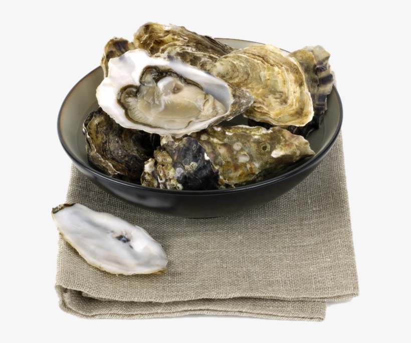 Oyster Bowl Shell Transprent - Clam, transparent png