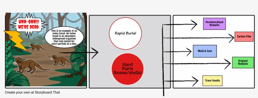 Fossil Formation - Illustration, transparent png