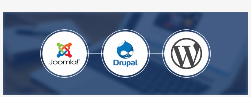 Logo Png Wordpress Drupal, transparent png