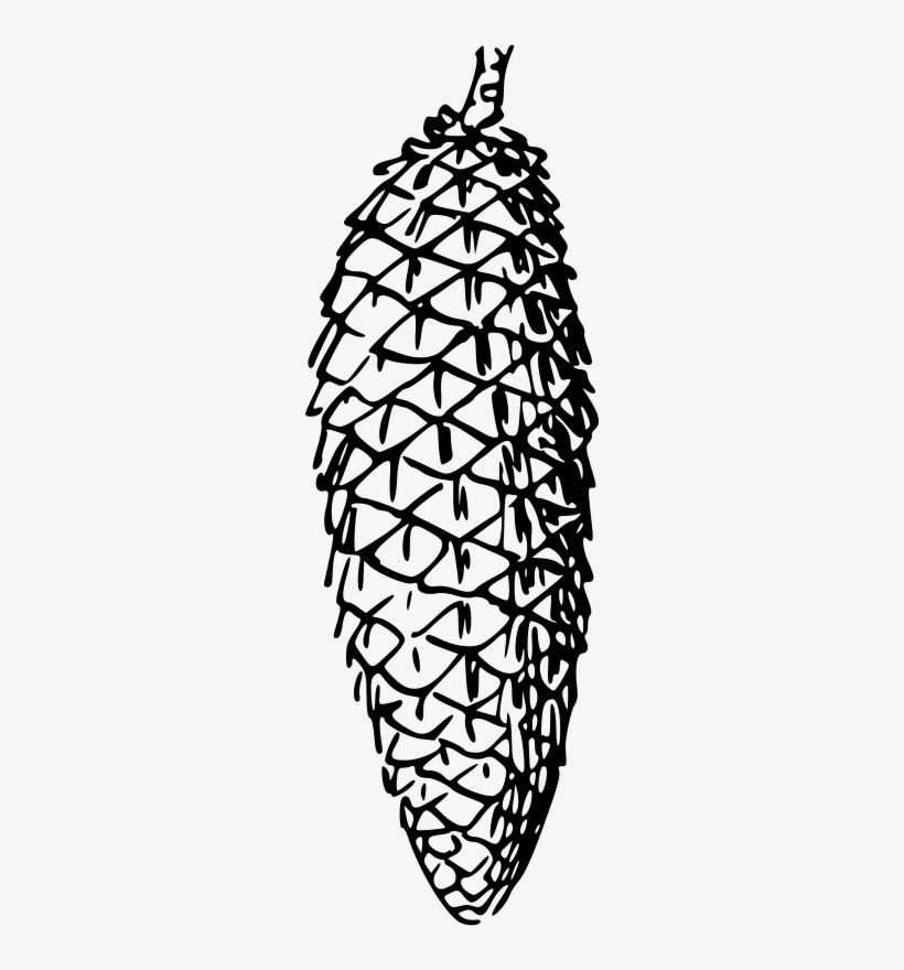 1 Cone Pinecone Black And White Clipart 266x800 PNG Download PNGkit