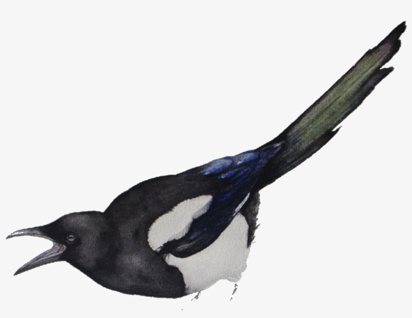 Free International Shipping To All Over The World - Watercolor Painting, transparent png