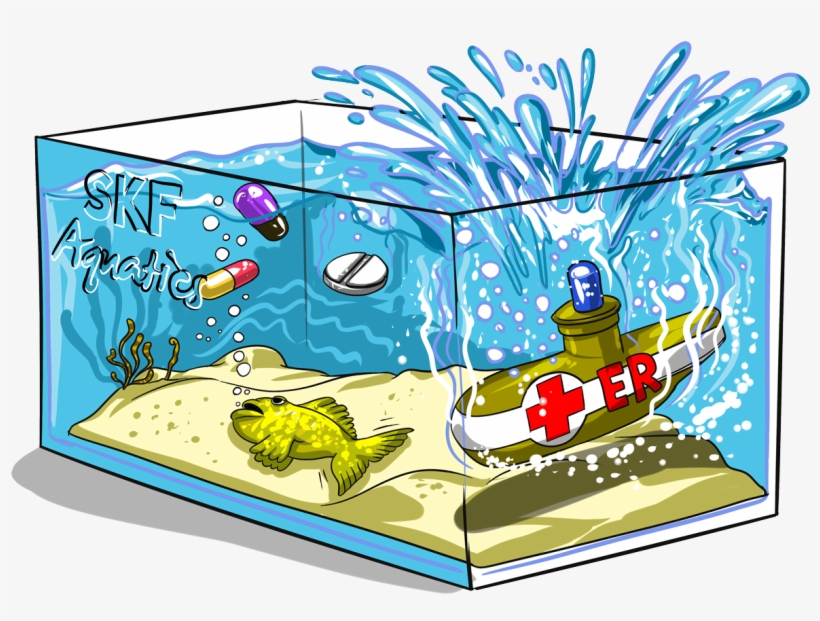 Illustration, transparent png
