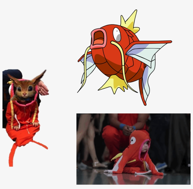 1 Yr - Magikarp No Background, transparent png