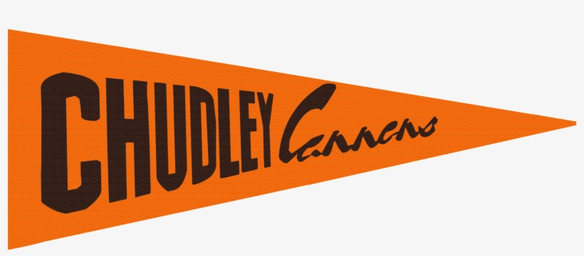 The Official Flag Of Chudley Cannons Harry Potter Props, - Chudley Cannons Flag, transparent png