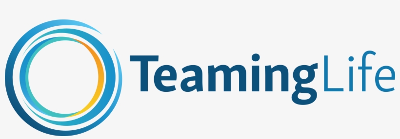 Teaming Life - Carpet Cleaning, transparent png