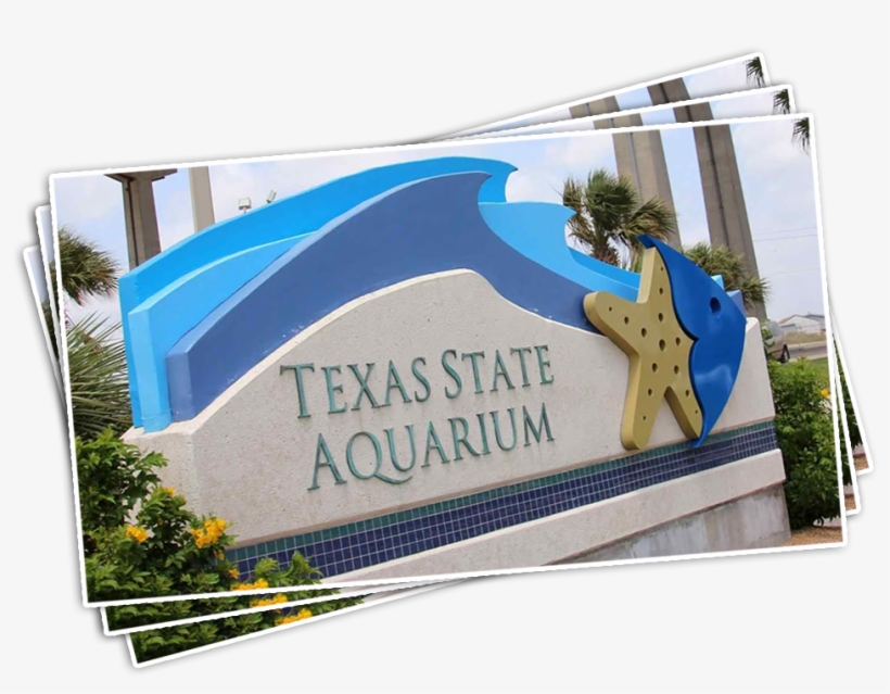 Texas State Aquarium - Texas State Aquarium Corpus Christi, transparent png