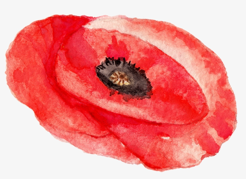 0℃素材47 - Red, transparent png