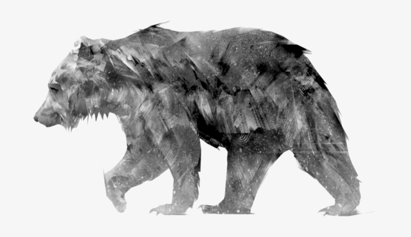 Animus - Grizzly Bear, transparent png