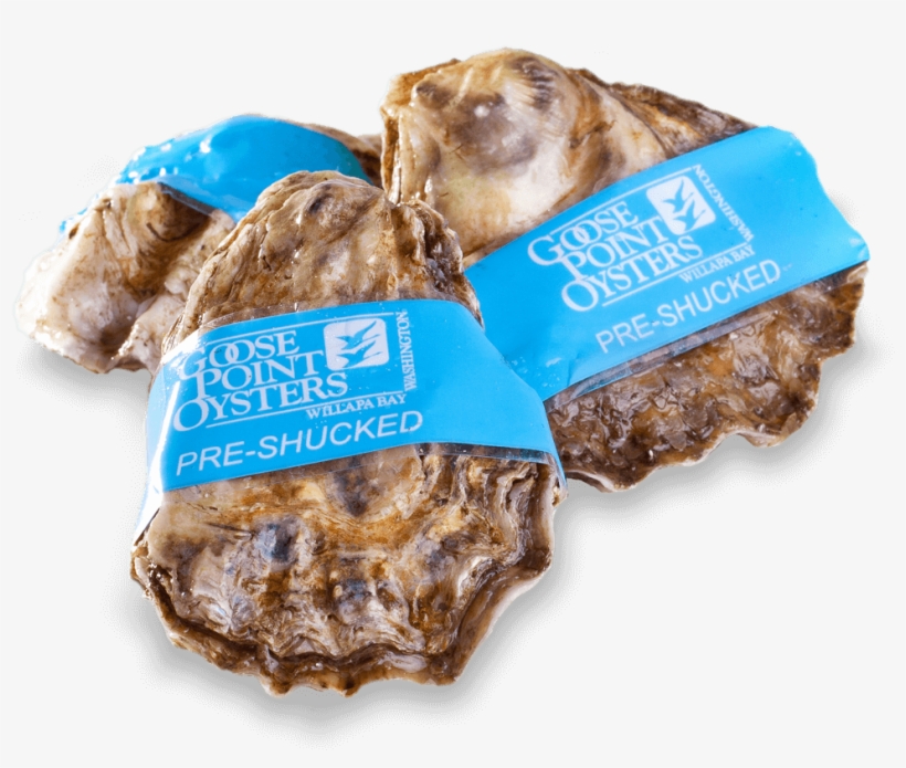 Our Oysters - Goose Point Oysters, transparent png