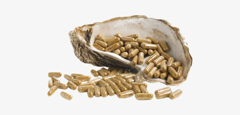 Oystermax Oyster Extract Powder Capules - Oyster Powder, transparent png