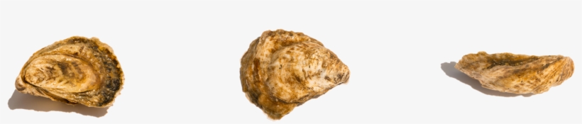 Igneous Rock, transparent png