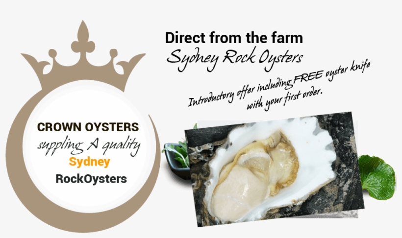 Crown Oysters, transparent png