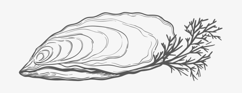If Oysters Are So Great For The World, Why Do We Eat - Portable Network Graphics, transparent png