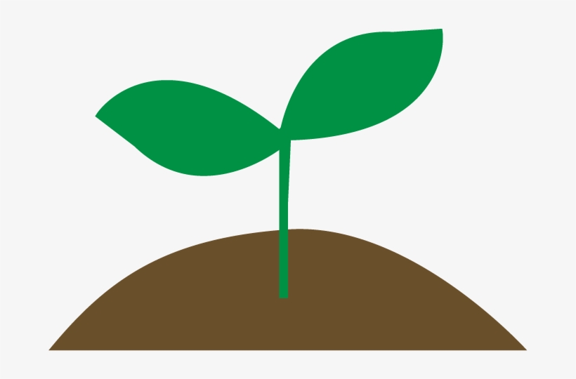 Sprout - Sprout Png, transparent png