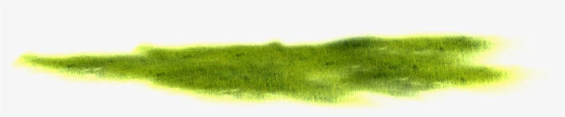 Grass, transparent png