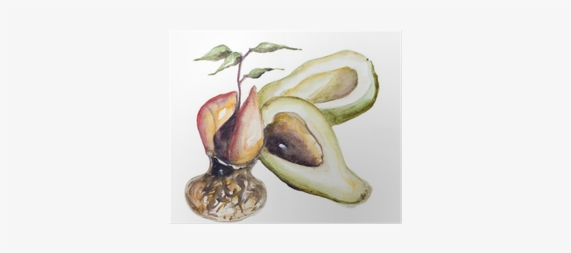 Painting, transparent png