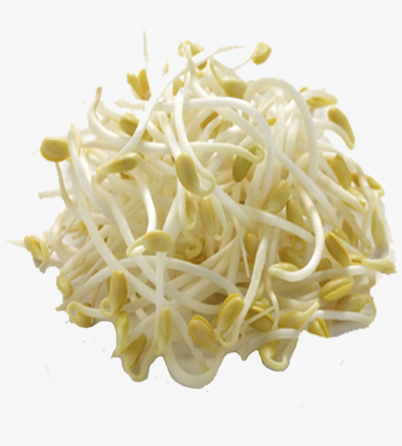 Bean Sprout - Bean Sprouts Nutrition, transparent png