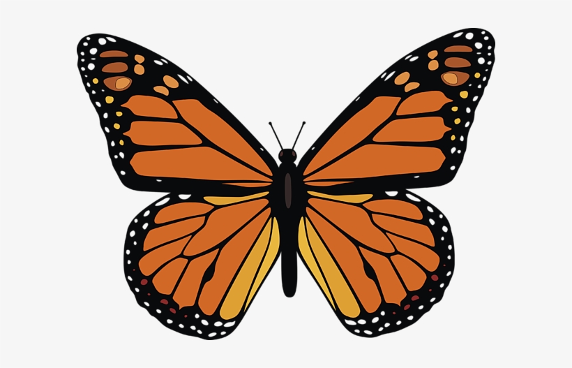 Bleed Area May Not Be Visible - Monarch Butterfly, transparent png