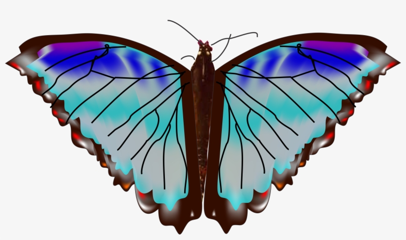 Mariposa 2, transparent png