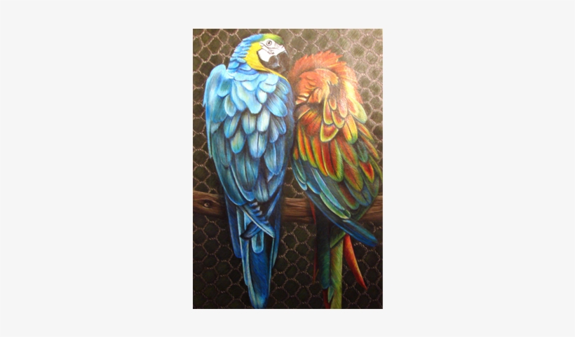 Thumb - Macaw, transparent png