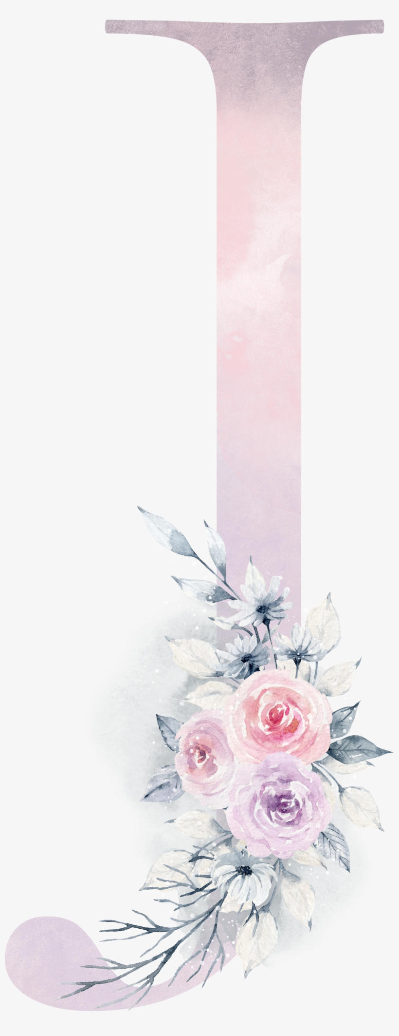 J - Garden Roses, transparent png