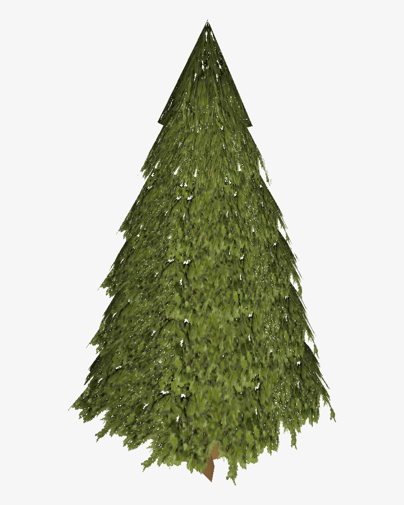 Evergreen, transparent png