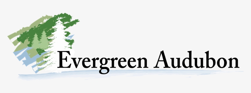 Community & Civic Organizations - Morning & Evening [book], transparent png