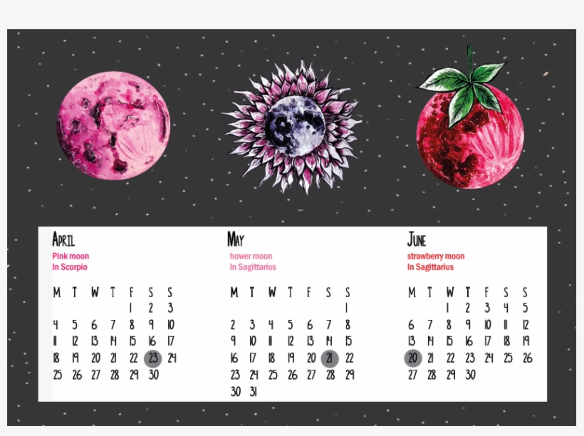 Full Moon Calender Of - Strawberry, transparent png
