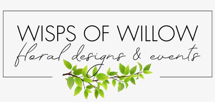 Wisps Of Willow - Calligraphy, transparent png