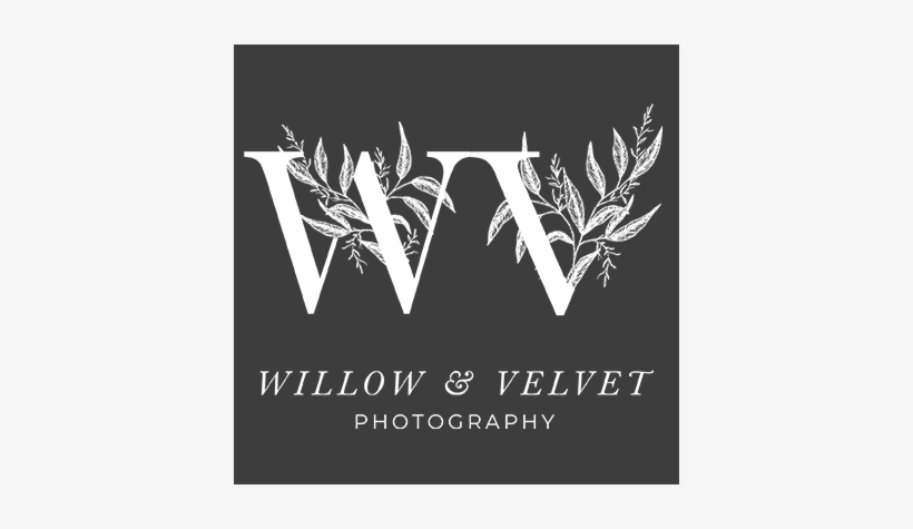 Willow & Velvet Photography, transparent png