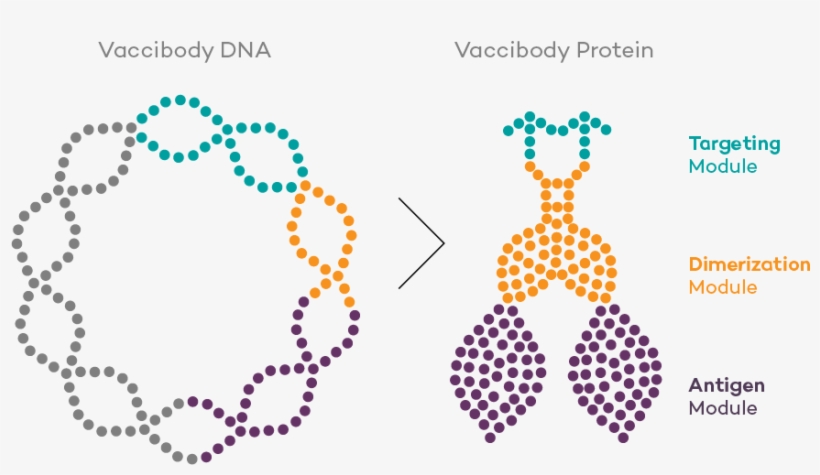 The Technology Platform Is Versatile And The Vaccines - Zoom Video Communications, transparent png